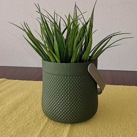 Center Apartment Delfina Охрид Екстериор снимка